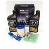 Maintenance Kit for engine Kohler SDMO CH395