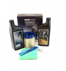 Kit de Mantenimiento para Motor CH440 Kohler SDMO