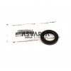 Oil Seal Ruggerini RD901