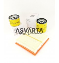 Maintenance Kit for engines Kohler KD425-2