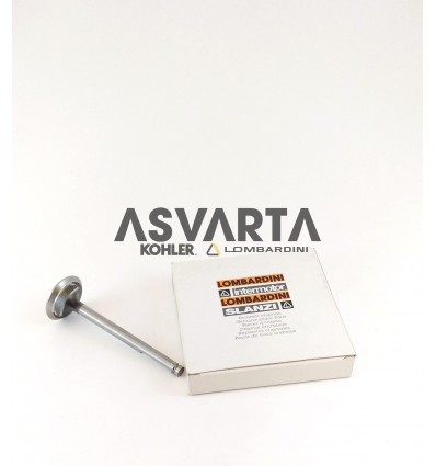 Intake valve Slanzi dva460