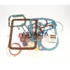 Gasket Kit Slanzi DVA 920