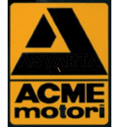 Acme Motori A349 Cartouche de filtre à air