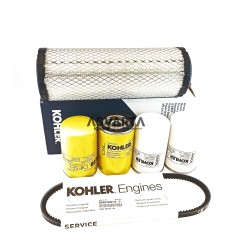 1000H Maintenance Kit Kohler KDW 1603