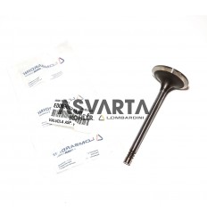 LDW Intake Valve Lombardini