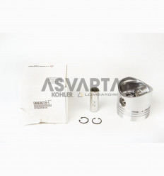 PISTON COMPLETO STD