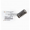 KDW502 Kohler Valve Spring