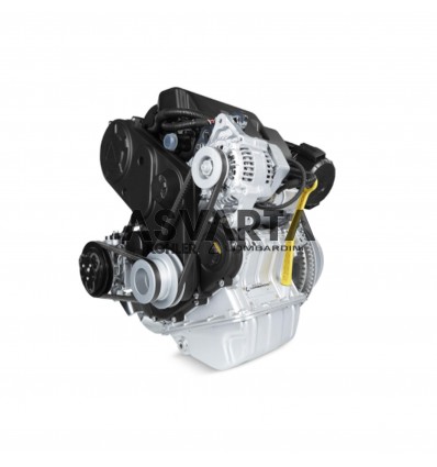 Motor Aligerado Lombardini LDW 442