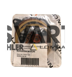 Gasket Set RD901-920