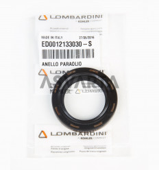 Retainer for LDW engine Lombardini