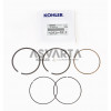 SEGMENTS KOHLER CH 440